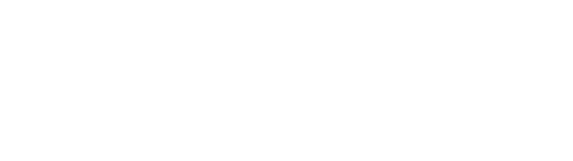 لوگو برند سارودی