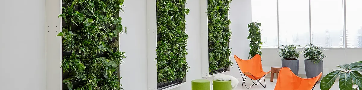 دیوار سبز؛همه چیز درباره ی آن